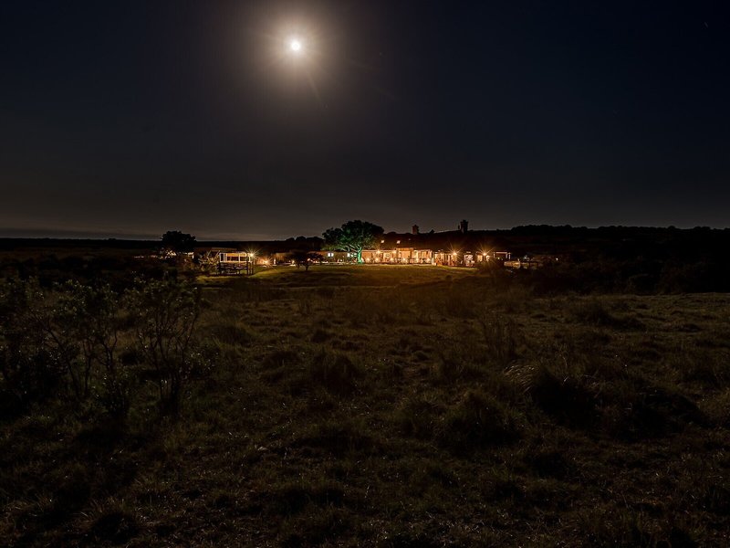 Amakhala Game Reserve - Hlosi Game Lodge 5