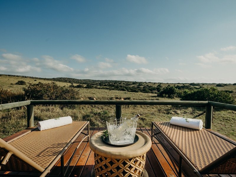 Amakhala Game Reserve - Hlosi Game Lodge 12