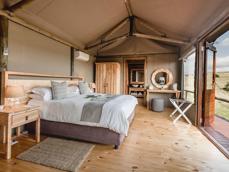 Amakhala Game Reserve - Hlosi Game Lodge 22