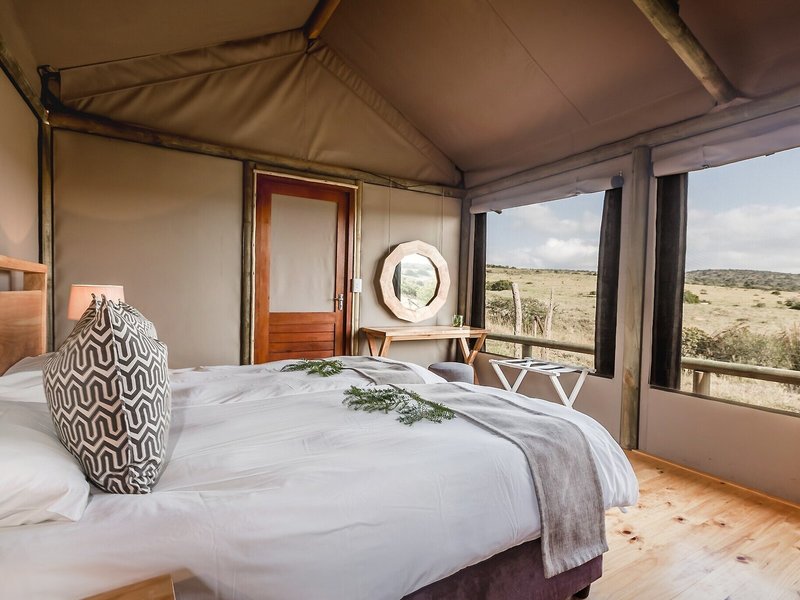 Amakhala Game Reserve - Hlosi Game Lodge 24