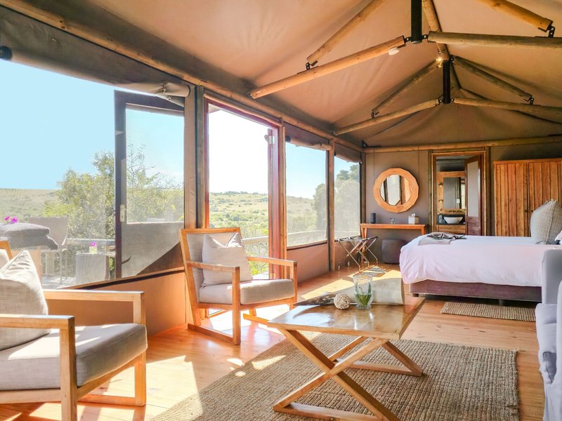 Amakhala Game Reserve - Hlosi Game Lodge 30