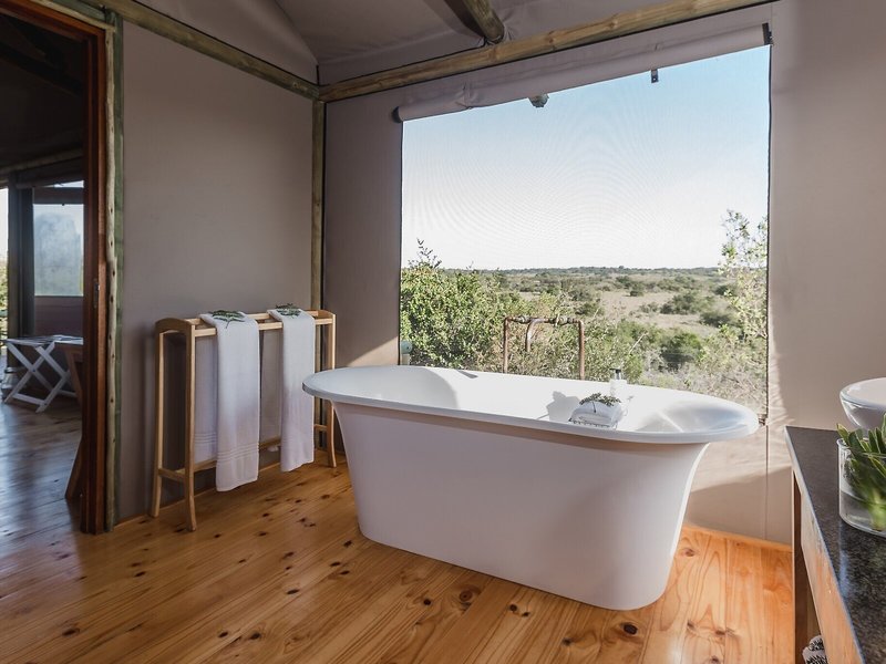 Amakhala Game Reserve - Hlosi Game Lodge 33