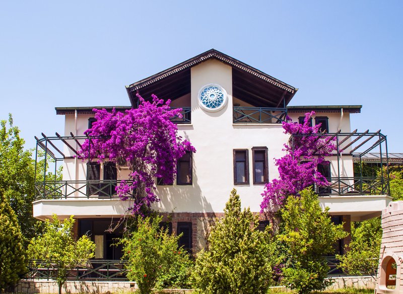 Belkon Hotel Belek 1