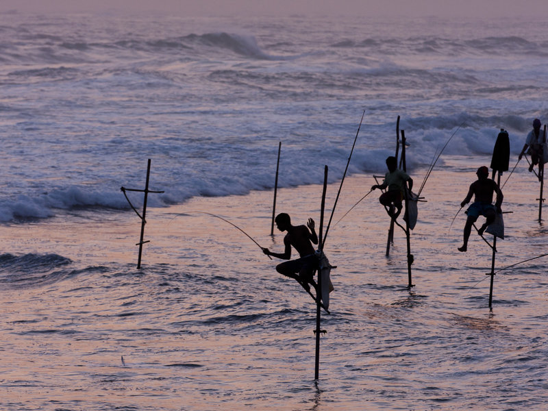 The Fortress Resort & Spa 12