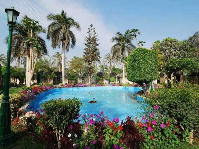 The Oasis Cairo 4