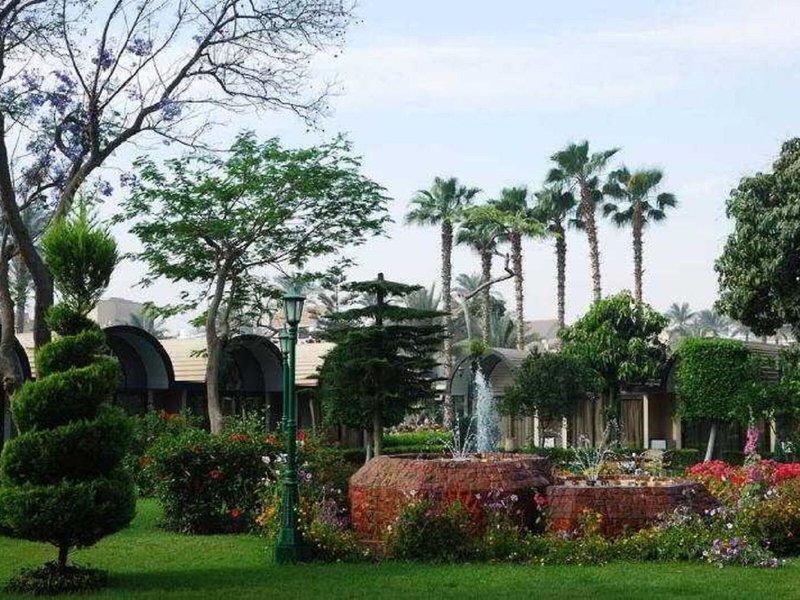 The Oasis Cairo 5