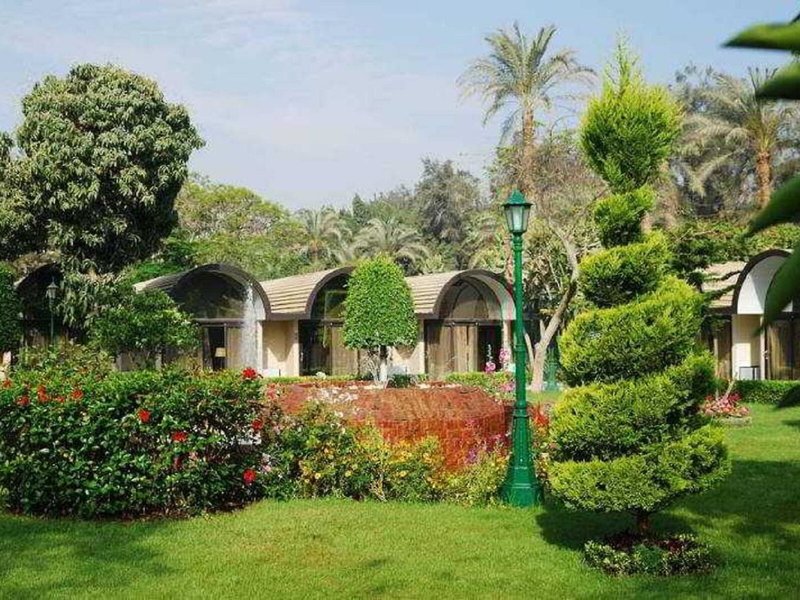 The Oasis Cairo 6