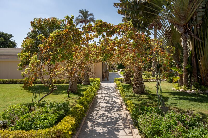 The Oasis Cairo 23