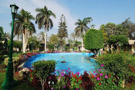 The Oasis Cairo 40