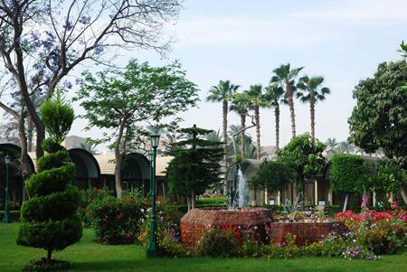 The Oasis Cairo 44