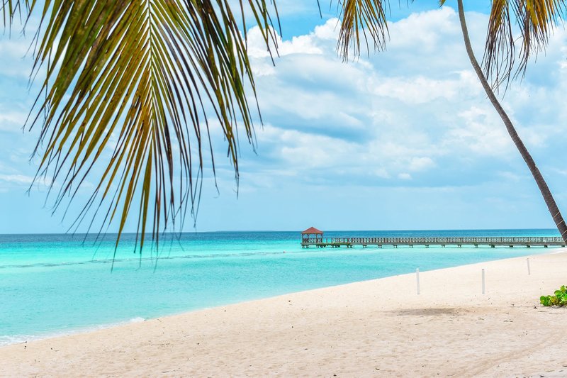 Catalonia Royal La Romana - Adults Only 7