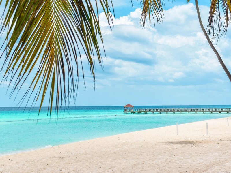 Catalonia Royal La Romana - Adults Only 7