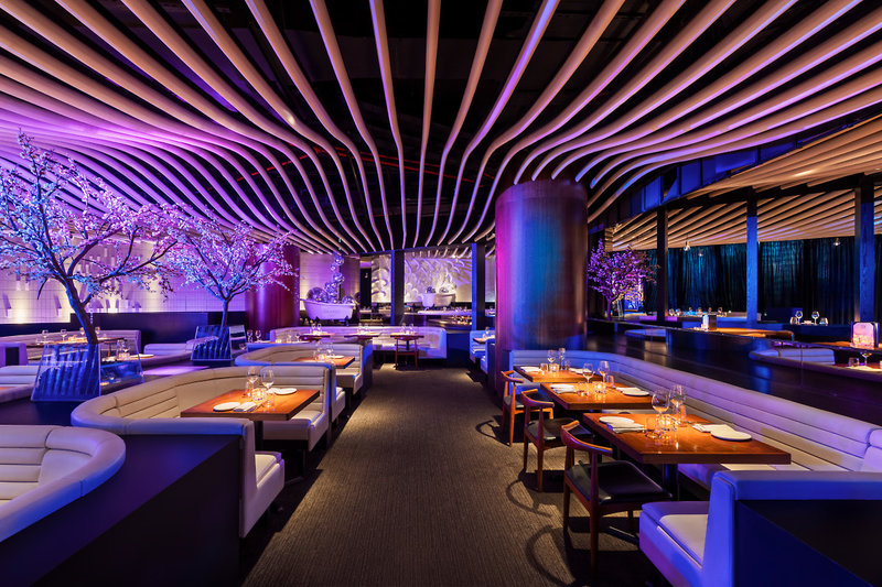 Rixos Premium Dubai JBR 43