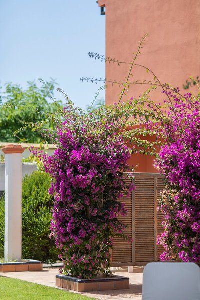 Soho Boutique Vistahermosa Apartamentos 44