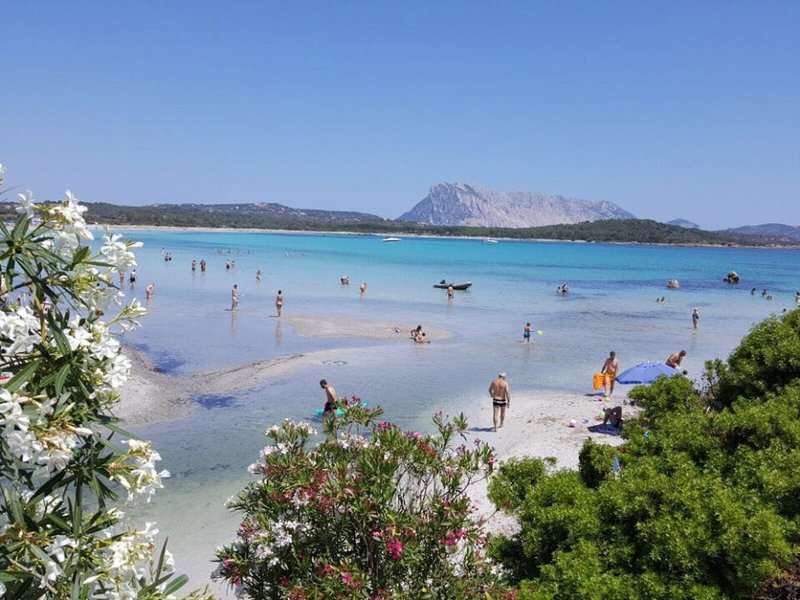 Residenze Gallura 11