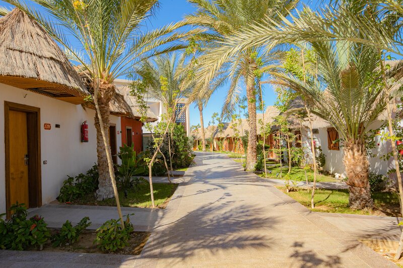 Panorama Bungalows Resort El Gouna 71