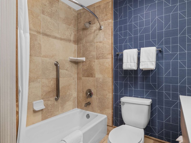 Hampton Inn Bakersfield-Central 29 - Bathroom Example
