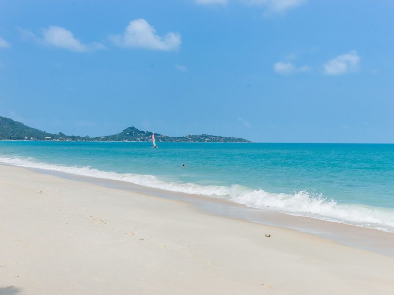 White Sand Samui Resort 11