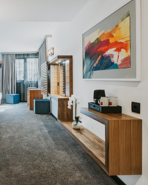 Hotel Ani 35
