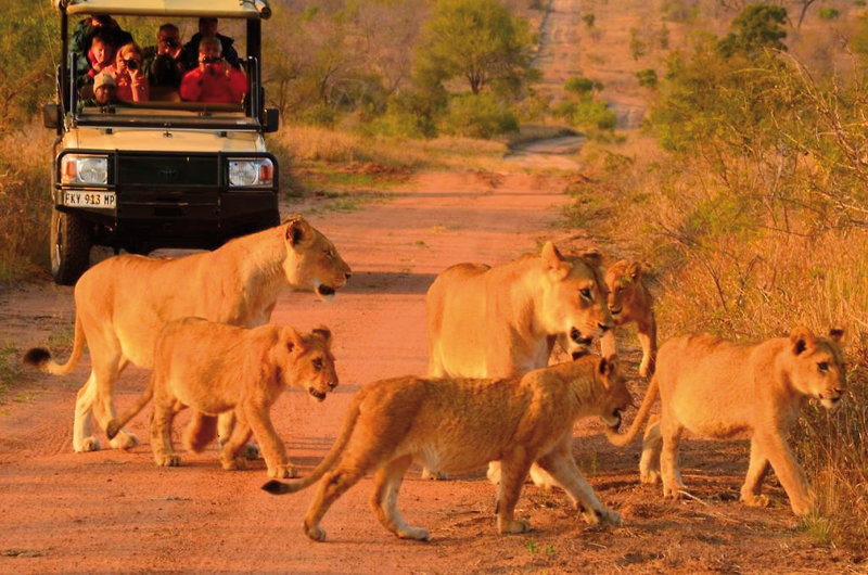 Imbali Private Concession 11