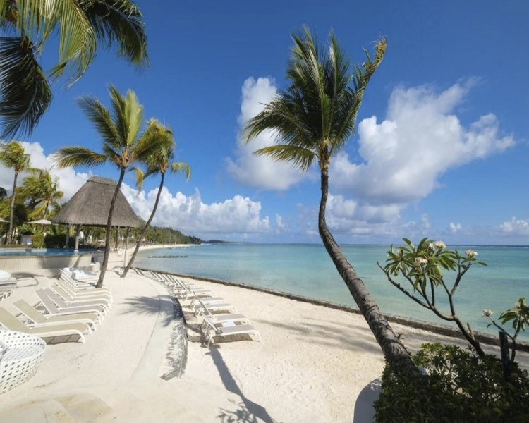 Ambre Mauritius 4