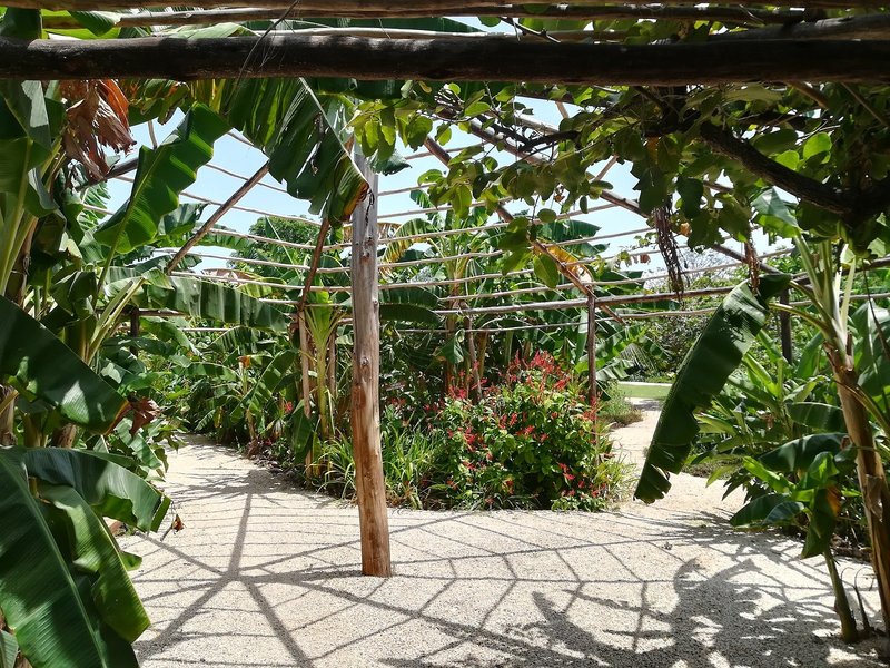 Zuri Zanzibar Hotel & Resort 16