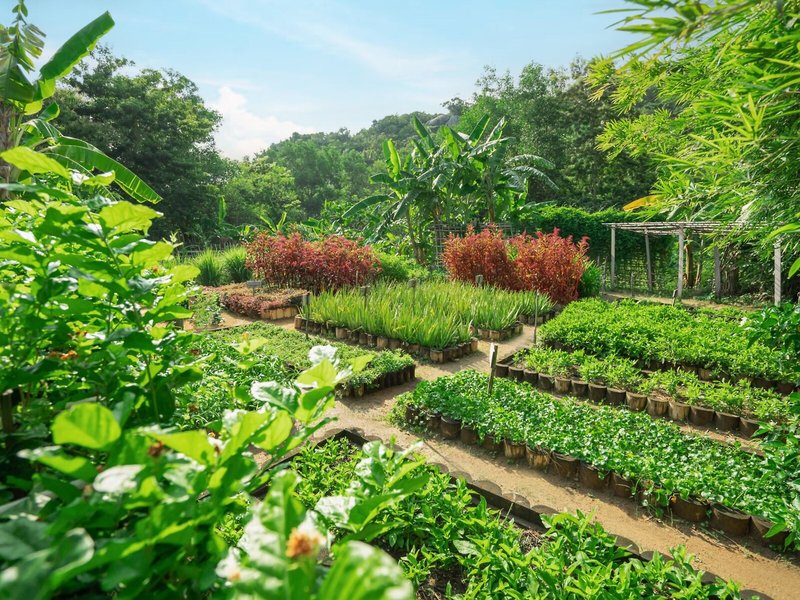 An Lam Retreats Ninh Van Bay 7