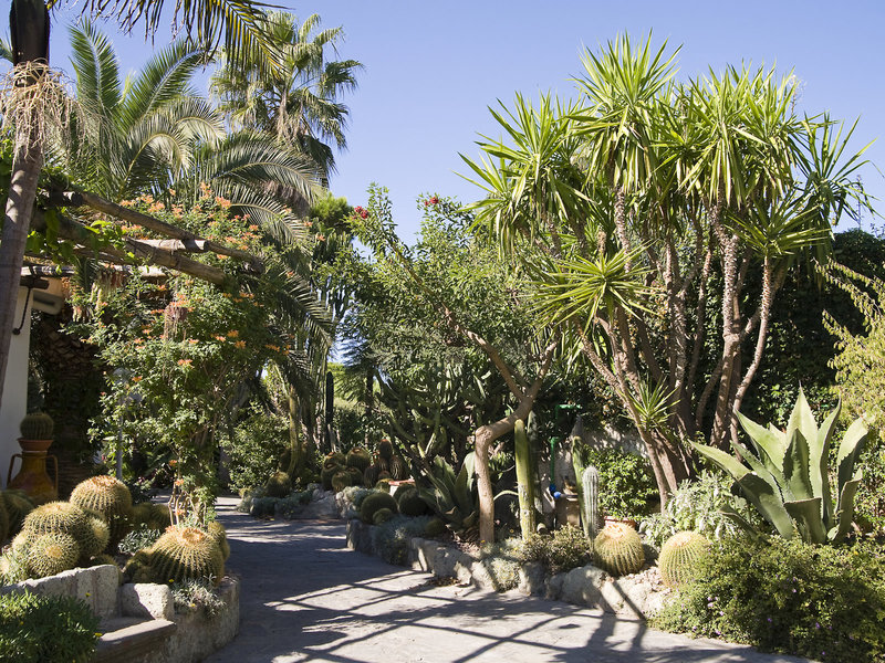 Park Hotel Terme Mediterraneo & Dependance 7