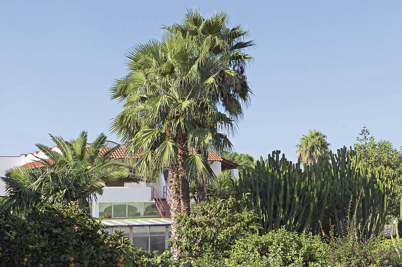 Park Hotel Terme Mediterraneo 4