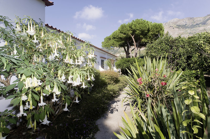 Park Hotel Terme Mediterraneo 9