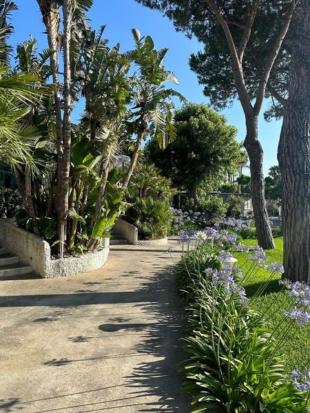 Paradiso Terme Resort & Spa 33