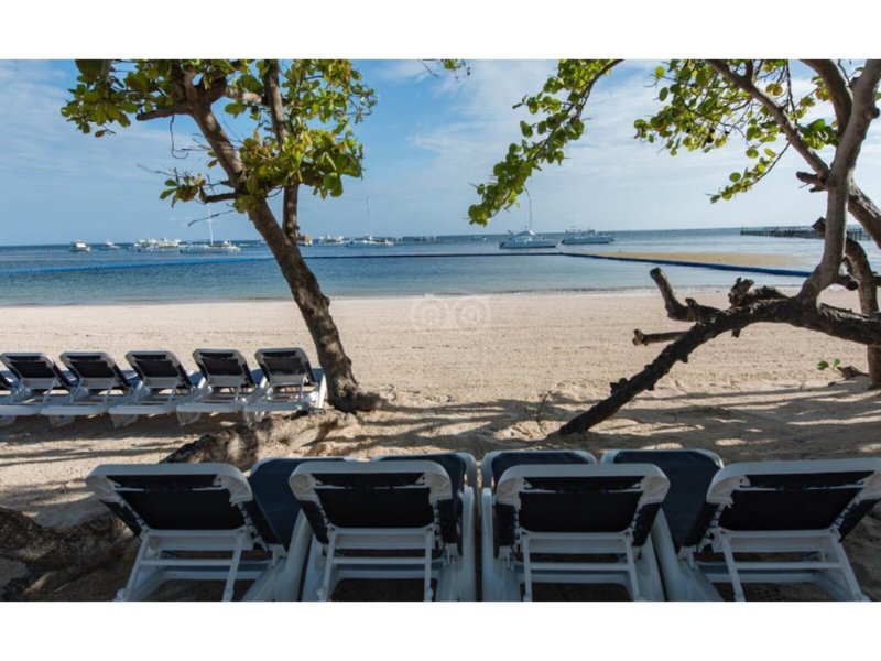BlueBay Grand Punta Cana 13 - Beach
