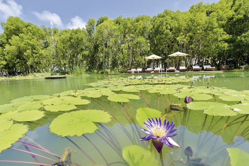 Dreamland The Unique Sea & Lake Resort Spa 5