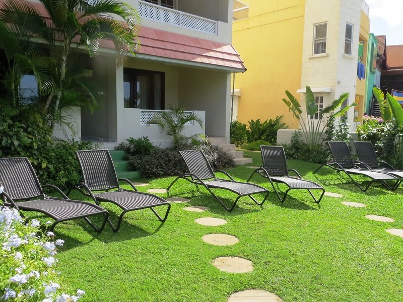 Yellow Bird 1 - Exterior