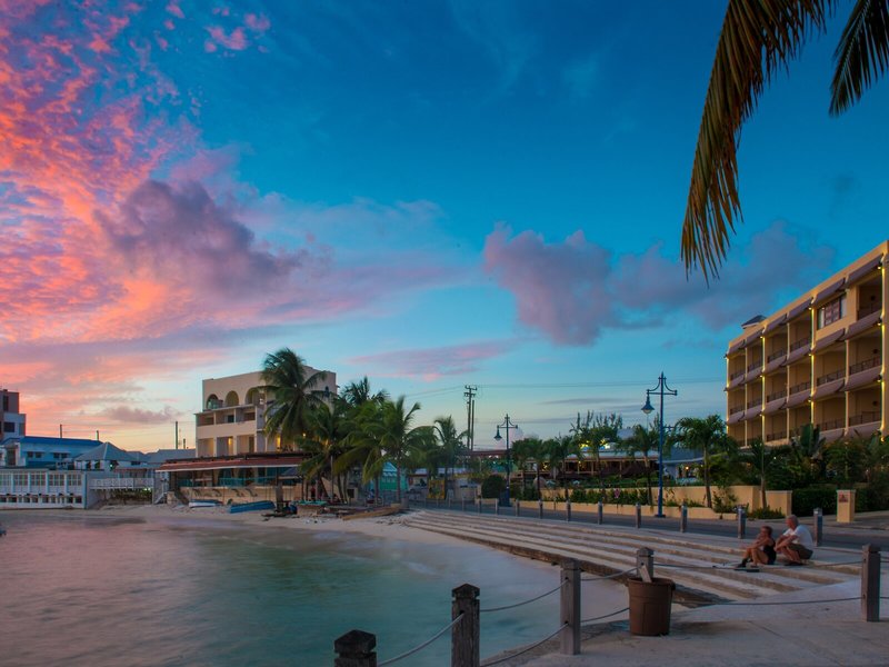 Yellow Bird 3 - Exterior