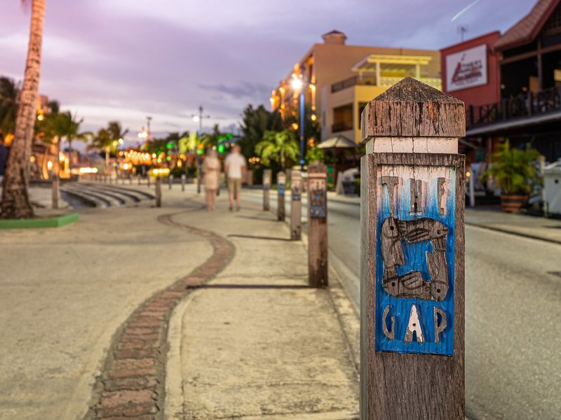 Yellow Bird 9 - Landscape