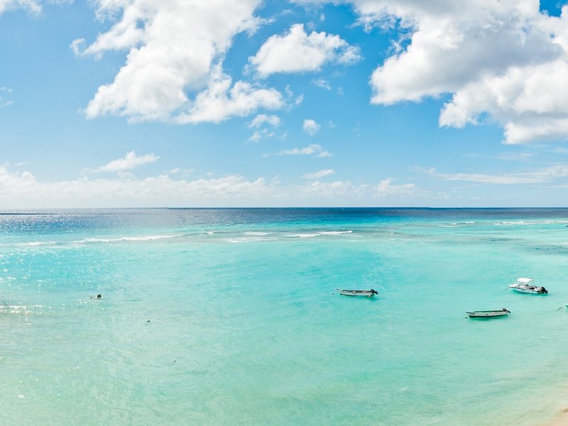 Yellow Bird 10 - Beach