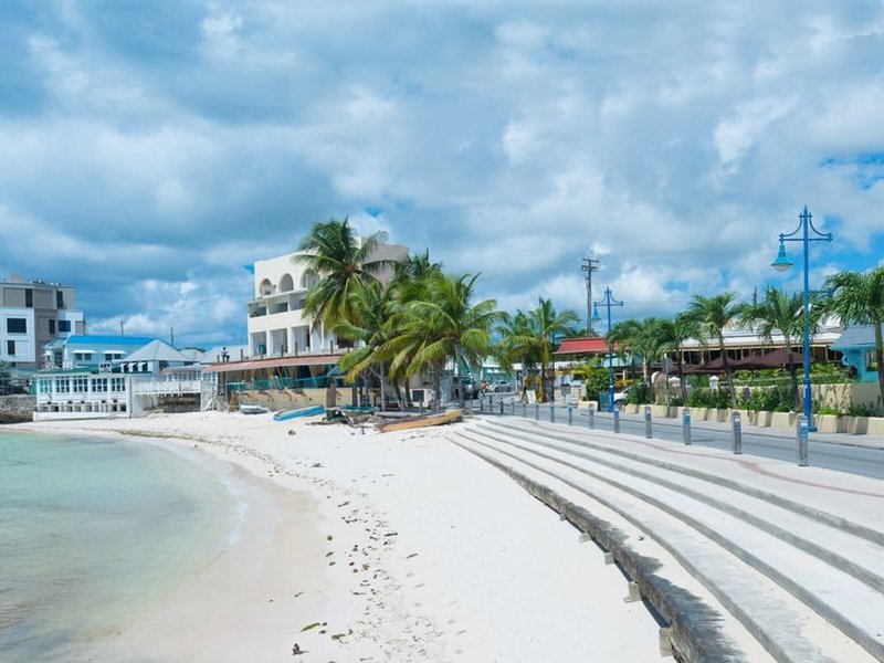 Yellow Bird 11 - Beach