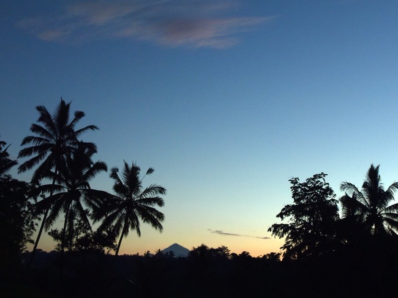 Capella Ubud 6