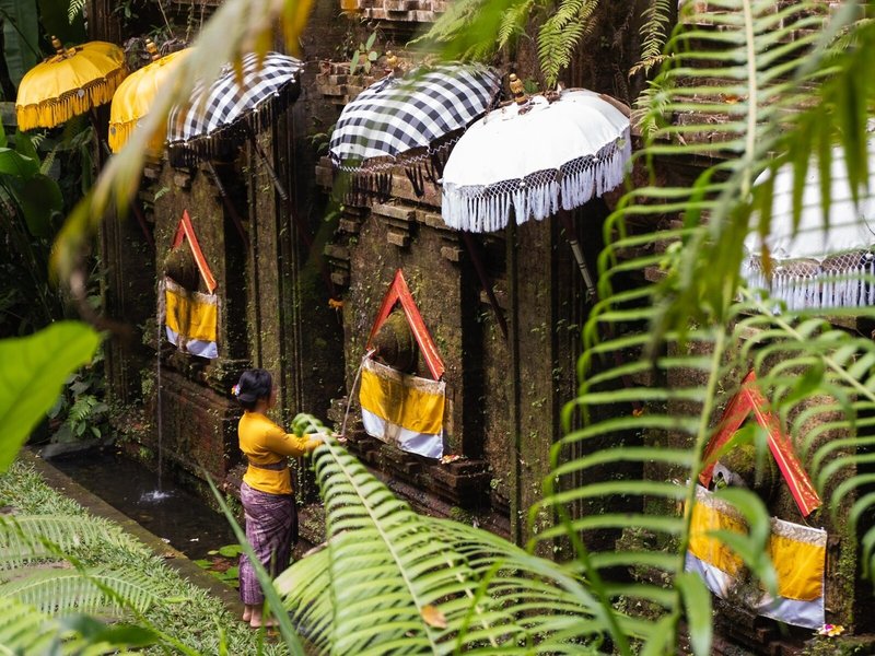 Capella Ubud 8