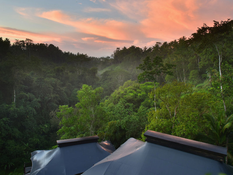 Capella Ubud 9