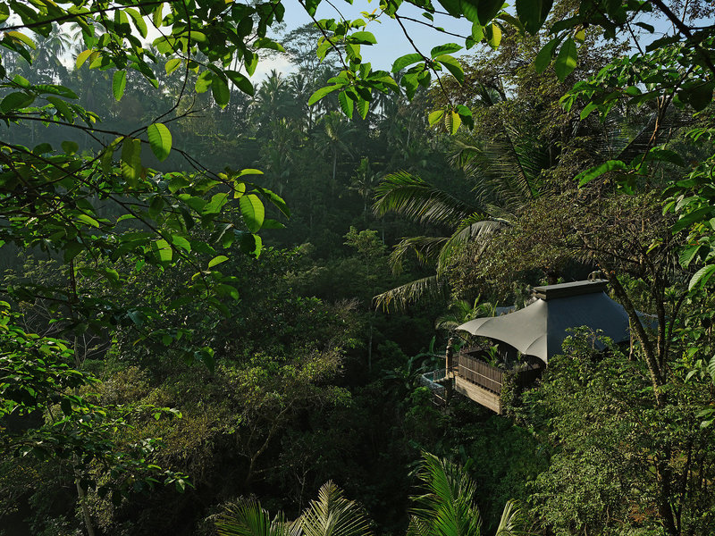 Capella Ubud 39