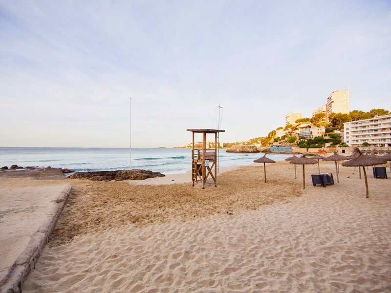 Be Live Experience Costa Palma 6