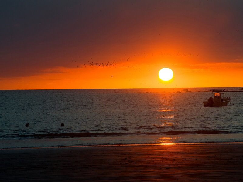 Villas Playa Samara Beachfront Resort 13