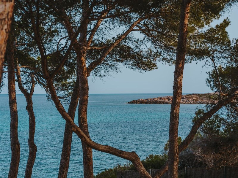 Grupotel Aguait Resort & Spa 4