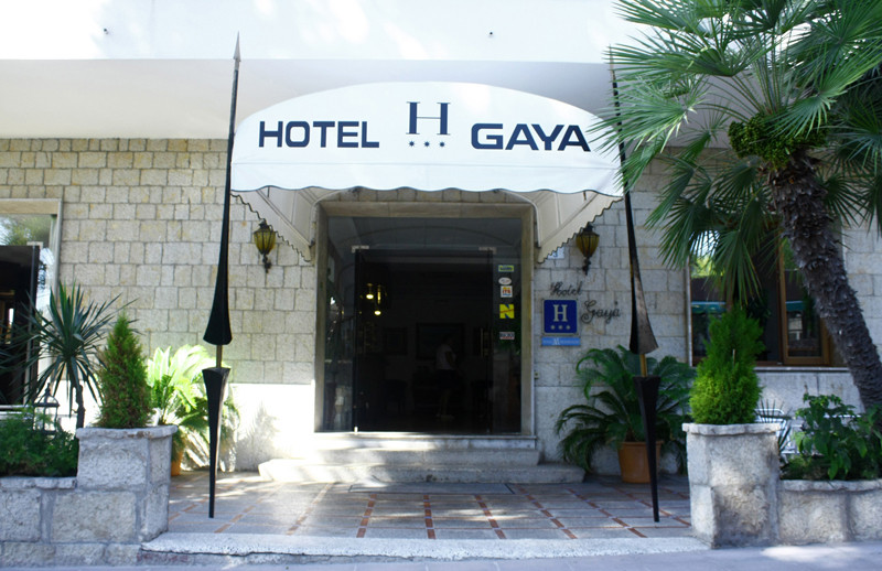 Gaya 7