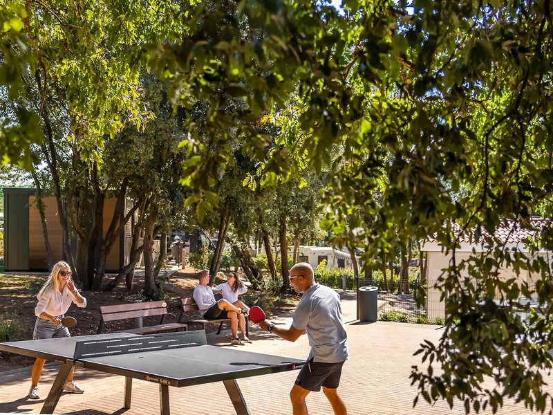 Veštar Campsite Mobile Homes 21