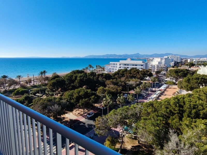 Hotel y Apartamentos Leman 44