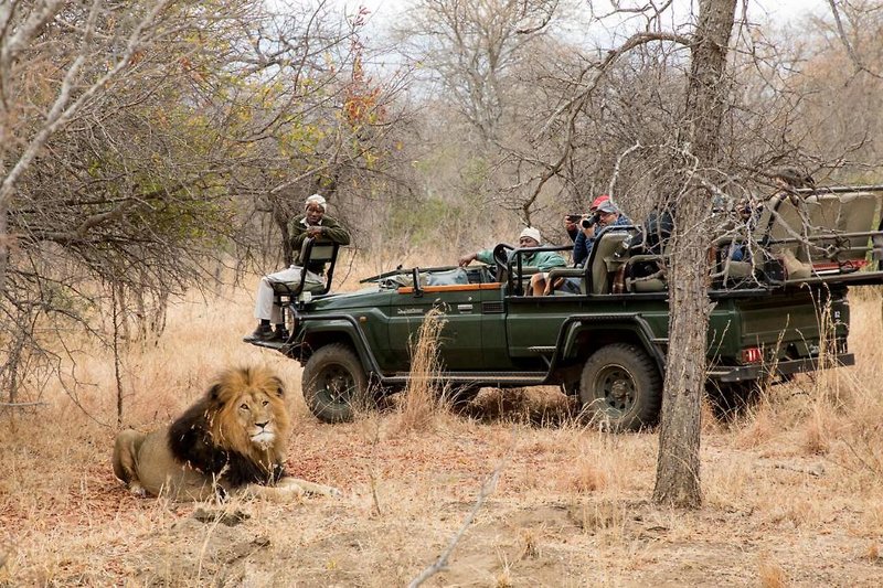 Becks Safari Lodge 4