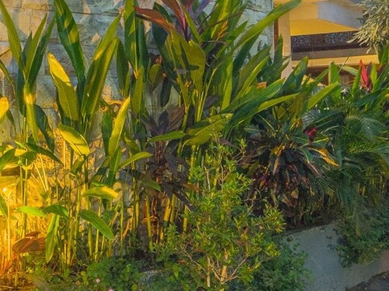 Grand Kesambi Resort & Villa 2